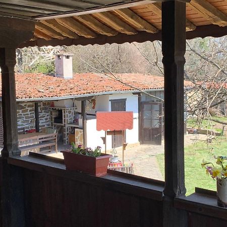 Kesta Za Gosti Roza Villa Elena Dış mekan fotoğraf